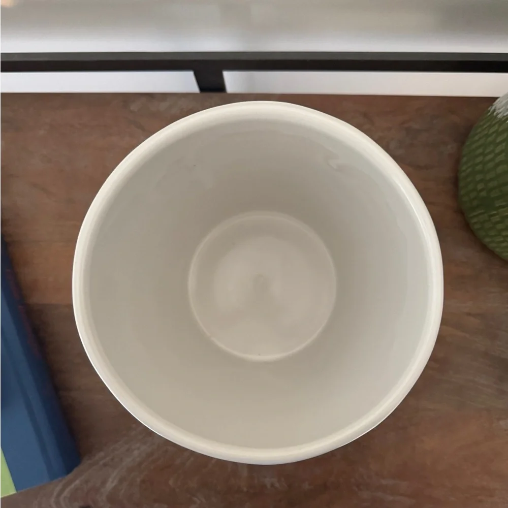 Crate&Barrel White Textured Ceramic Planter